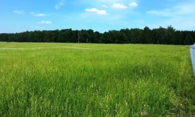 В Орле возбуждено дело по факту необеспечения многодетных семей земельными участками