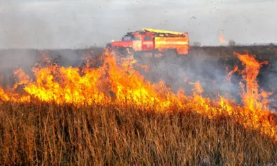 На Орловщине отменён особый противопожарный режим