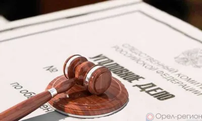 Дело обвиняемого в покушении на изнасилование орловца направлено в суд