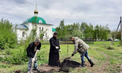В Лаврово под Орлом возродят фруктовый сад