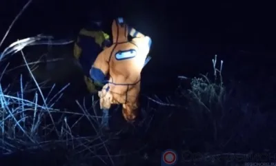 В Орловской области из пруда достали тело пожилого мужчины