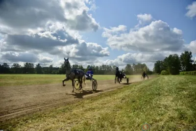 На орловском ипподроме проходят конные бега на Кубок губернатора