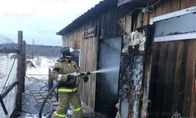 В Хотынецком районе спасатели эвакуировали животных из горящей фермы