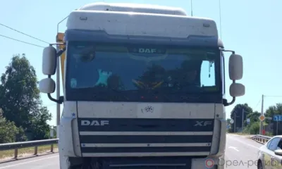 В Орловской области в ДТП погиб водитель Skoda