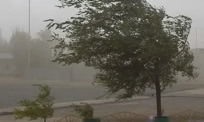 МЧС предупреждает орловцев о порывистом ветре и грозах
