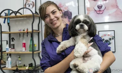 Благодаря соцконтракту орловчанка Виктория Назарова открыла настоящий салон красоты для животных