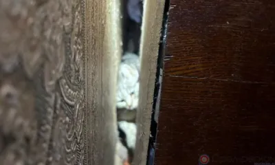 Орловские спасатели достали из-за шкафа кошку