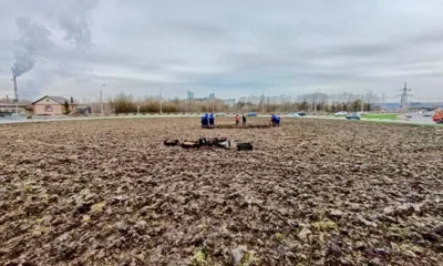 В Орле появится клумба из 30 тысяч тюльпанов