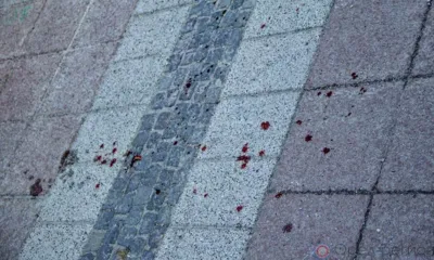 Ливенские полицейские выследили преступника по следам крови