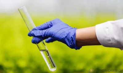 Хозяйства Болховского района превышали дозировки пестицидов при обработке посевов