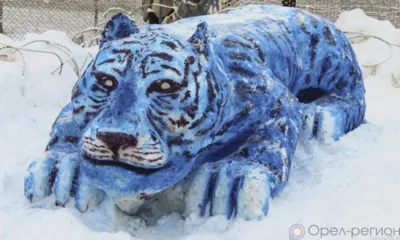 В исправительных учреждениях Орловской области стартовал конкурс снежных фигур