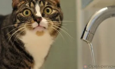 В Заводском районе Орла сегодня отключили горячую воду