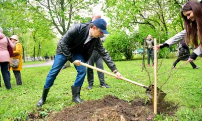 В орловском сквере посадили саженцы погибшего Тургеневского дуба