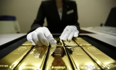 Рубрика «Компас в мире вопросов»