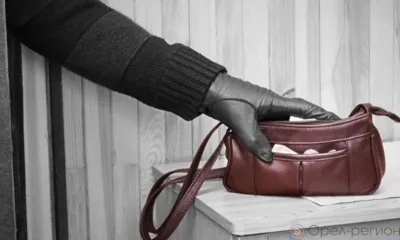 В Орле у девушки украли телефон, документы и банковские карты