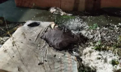 Пожарные спасли из горящей квартиры молодого орловца