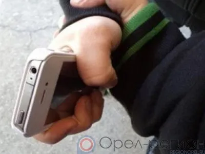 Ранее судимый орловец напал на женщину и украл у неё телефон