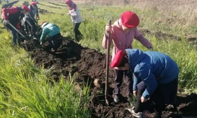 На Орловщине осенью посадят почти 7 тыс. деревьев