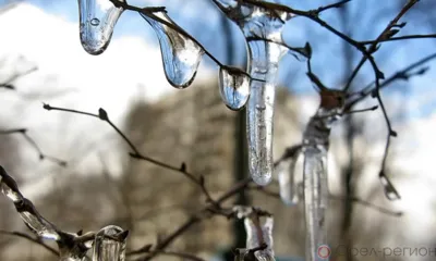 Орловцев по ночам ждёт мороз, а днём - оттепель
