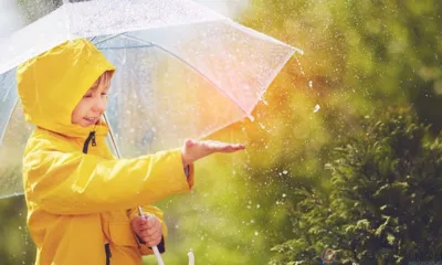 В Орловскую область пришли дожди