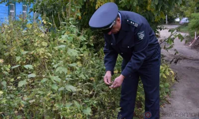 В Орловской области более 500 тысяч га земель прошли фитосанитарный мониторинг