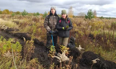 В Малоархангельском районе высадили 24 тысячи сосен