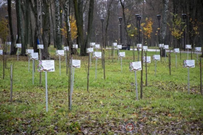 Фото 5. 1 ноября в парке Победы в Орле прошла международная акция «Сад памяти»