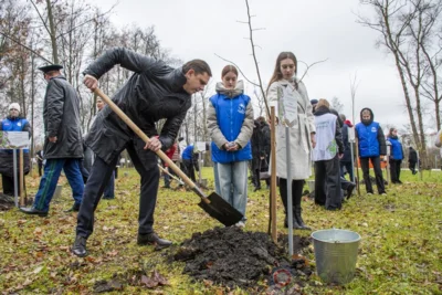 Фото 12. 1 ноября в парке Победы в Орле прошла международная акция «Сад памяти»