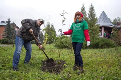 «Зеленые команды» завершили эко-сезон высадкой деревьев в  Детской деревне SOS Лаврово
