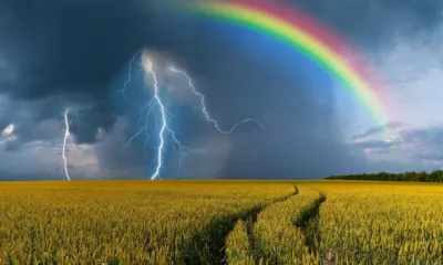 Сегодня на Орловщину придут грозы и сильный ветер