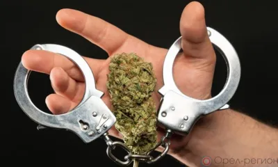 У жителя Малоархангельского района изъяли почти 5 кг конопли