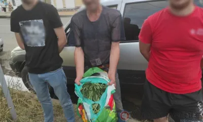 Орловские полицейские нашли у мужчины более 680 г конопли