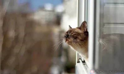 На Орловщину пришла весна