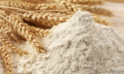 Орловщина в пять раз увеличила экспорт пшеничной муки