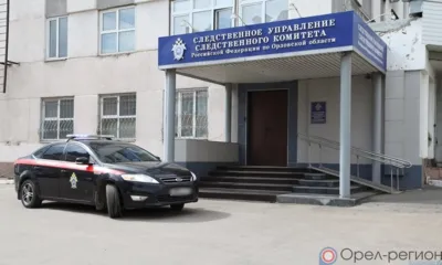 Боец из Орла предстанет перед судом за оскорбление представителя власти