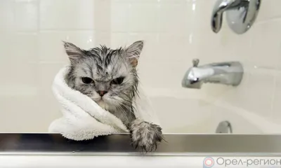 В Орле котельная на ул. Латышских стрелков снизила параметры отопления и горячей воды