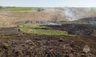 С начала года на Орловщине зафиксированы 246 термоточек