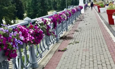 Фото 1. В Орле на Александровском мосту вандалы вырвали и разбросали цветы