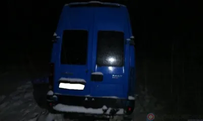 В Орловской области микроавтобус вылетел в кювет