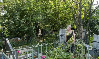 «Несносное» дерево на орловском кладбище