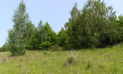 У орловца через суд изъяли неиспользуемые сельхозучастки