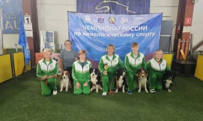 Орловчанка стала третьей на первом чемпионате России по кинологическому спорту