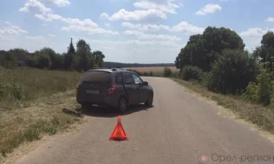 В Орловской области 71-летний велосипедист попал под колёса Lada Kalina