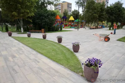 В Орле с 25 по 27 апреля Детский парк будут обрабатывать от клещей