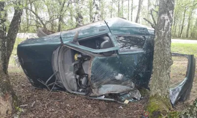 На дороге «Орёл-Знаменское» ВАЗ-2112 улетел в кювет, врезался в дерево и перевернулся