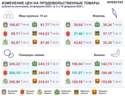 Фото 1. Динамика цен по данным Орёлстата