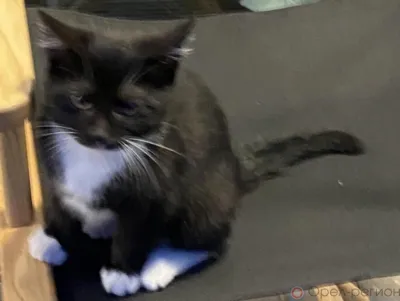 Юрий Парахин обратился к орловцам за помощью