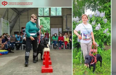 В Орловской области восемь собак-поводырей помогают людям с нарушениями зрения