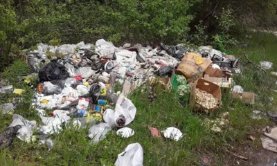 В Знаменском районе выявили несанкционированную свалку