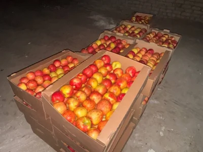 Фото 1. Орловский вуз отправил крупную гуманитарную партию на курское направление